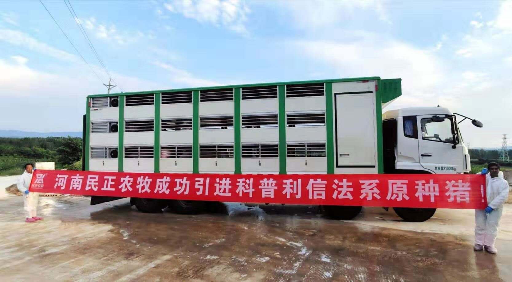 1589415564572653.jpg 1589415564572653.jpg